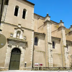 Saint-Benoît Church - Castres