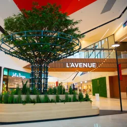 Les 3 Fontaines Shopping Center - Cergy