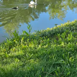 Oise River Walks - Cergy