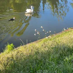Oise River Walks - Cergy
