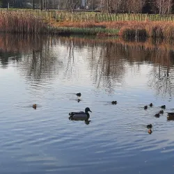 Parc François Mitterrand - Cergy