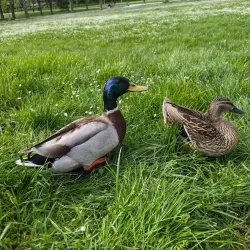 Parc François Mitterrand - Cergy