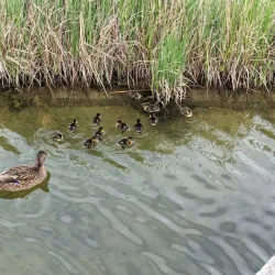 Parc François Mitterrand - Cergy