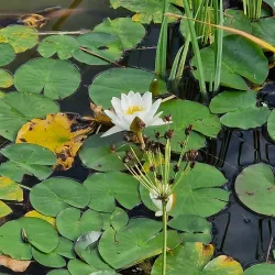 Parc François Mitterrand - Cergy