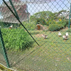 Parc Georges Nouelle - Chalon-sur-Saône