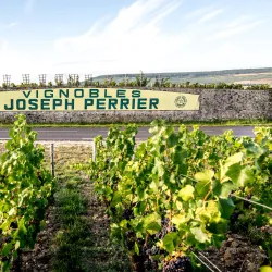 Champagne House Visits - Chalons-en-Champagne