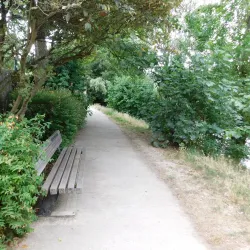 Bords de Marne - Champigny-sur-Marne