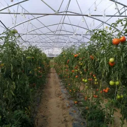 Nearby Brie Countryside - Chanteloup-en-Brie