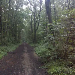 Walking and Cycling Trails - Chanteloup-en-Brie