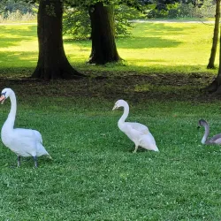 Meuse River Walks - Charleville-Mezieres