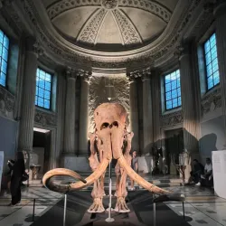 Musée des Beaux-Arts de Chartres - Chartres