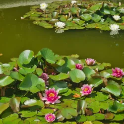 Jardin de la Perrine - Chateaubriant