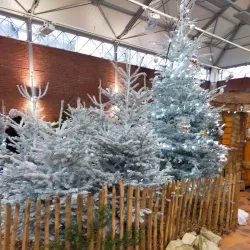 Les Halles de Châteaubriant - Chateaubriant