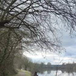 Parc de la Bouëxière - Chateaubriant