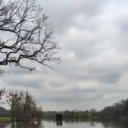 Parc de la Bouëxière - Chateaubriant