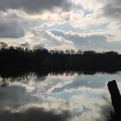 Parc de la Bouëxière - Chateaubriant