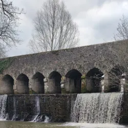 Parc de la Bouëxière - Chateaubriant