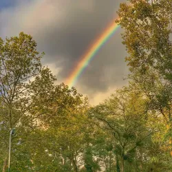 Seine River Walks - Chatou