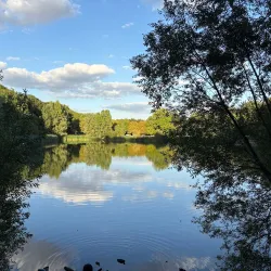 Forêt de Meudon - Chaville