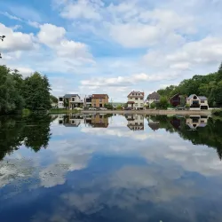 Forêt de Meudon - Chaville