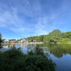 Forêt de Meudon - Chaville