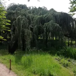 Parc de la Vallée-aux-Loups - Chaville