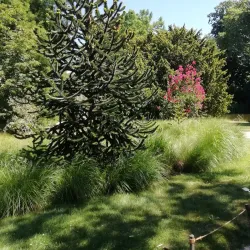 Parc de la Vallée-aux-Loups - Chaville