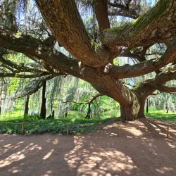 Parc de la Vallée-aux-Loups - Chaville