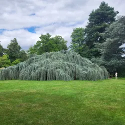 Parc de la Vallée-aux-Loups - Chaville