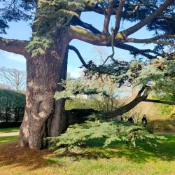 Parc de la Vallée-aux-Loups - Chaville