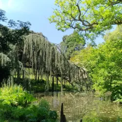 Parc de la Vallée-aux-Loups - Chaville