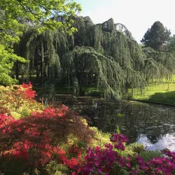 Parc de la Vallée-aux-Loups - Chaville