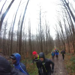 Parc des Sports de Chaville - Chaville