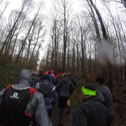 Parc des Sports de Chaville - Chaville