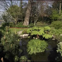 Jardin Public de Cherbourg - Cherbourg