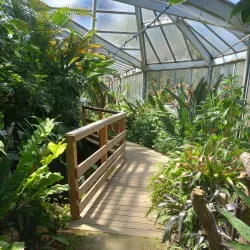 Parc Emmanuel Liais - Cherbourg