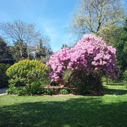 Parc Emmanuel Liais - Cherbourg