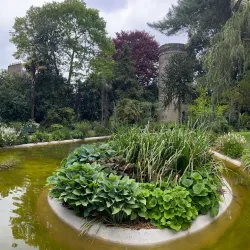 Parc Emmanuel Liais - Cherbourg