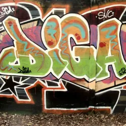 Bois de Clamart - Clamart