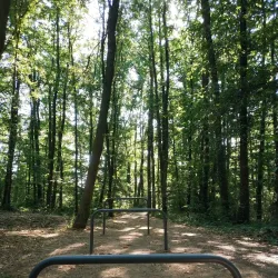 Le Parc des Sports - Clamart