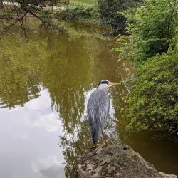 Parc Maison Blanche - Clamart