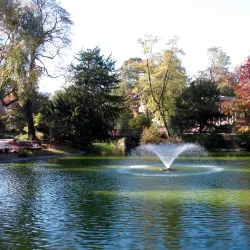 Parc Maison Blanche - Clamart