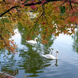 Parc Maison Blanche - Clamart
