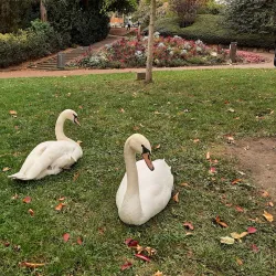 Jardin Lecoq - Clermont-Ferrand