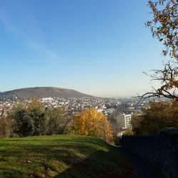 Parc Montjuzet - Clermont-Ferrand