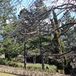 Parc Montjuzet - Clermont-Ferrand