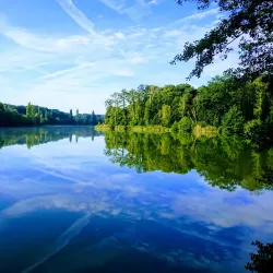 Compiègne Forest (Forêt de Compiègne) - Compiègne (Compiegne)