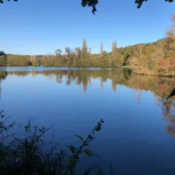 Compiègne Forest (Forêt de Compiègne) - Compiègne (Compiegne)