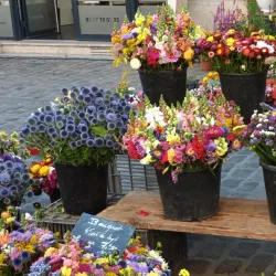Compiègne Market - Compiègne (Compiegne)