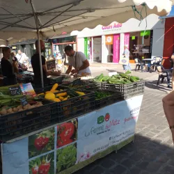 Compiègne Market - Compiègne (Compiegne)